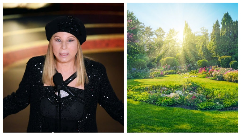 BARBRA STREISAND