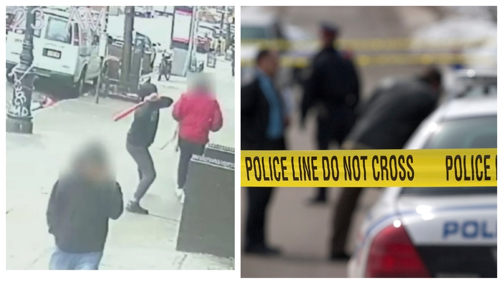 NYC bat attacker