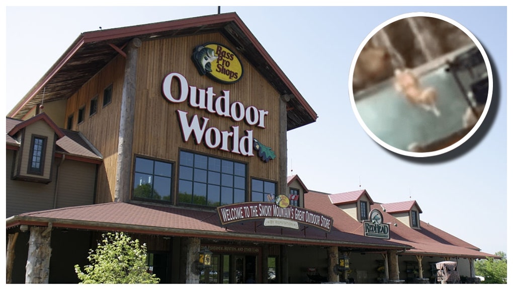 Alabama man gets naked at Bass Pro Shop.
