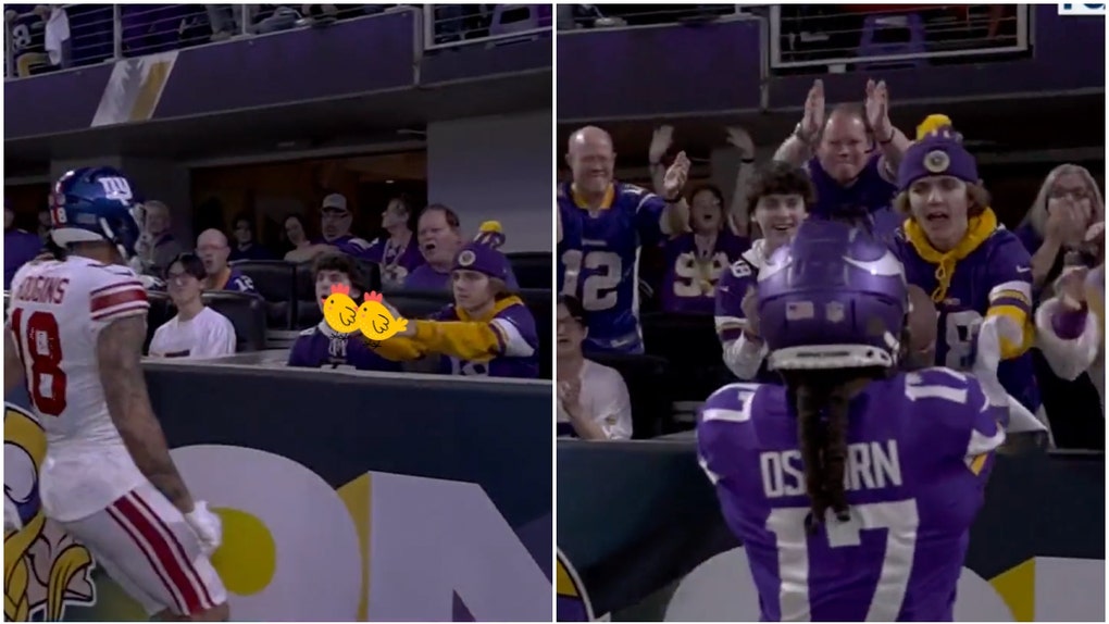 d096f75e-Bird-Flipping-Vikings-Fan