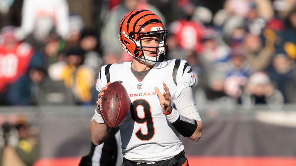 Cincinnati Bengals v New England Patriots