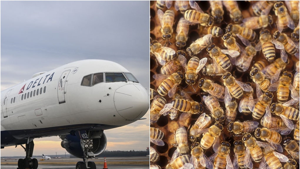 081c40c0-Delta-Bee-swarm