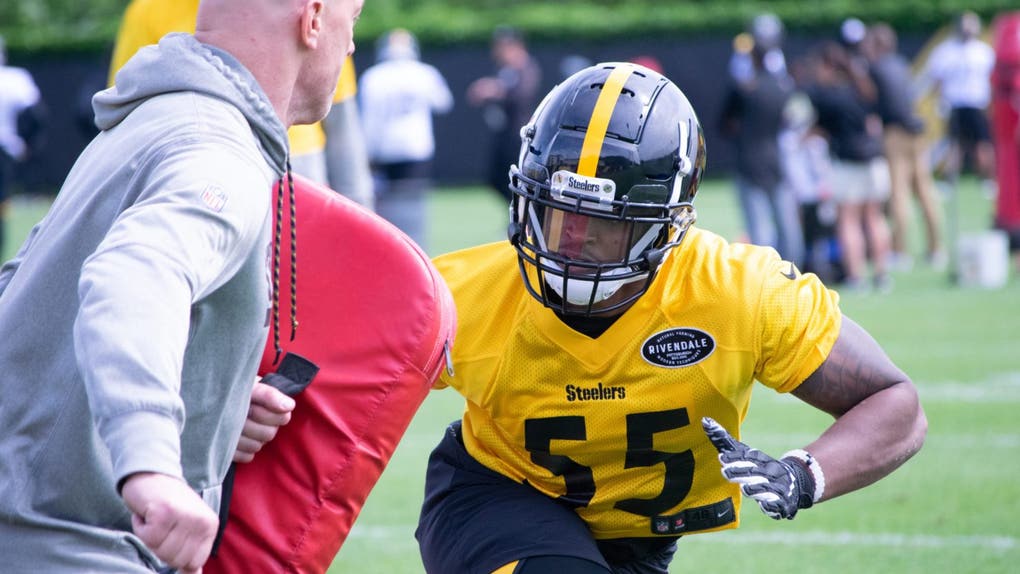 Devin Bush