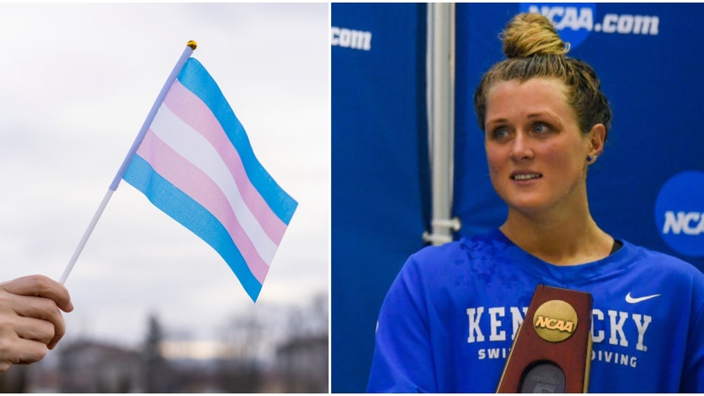 Gaines-Trans-Flag