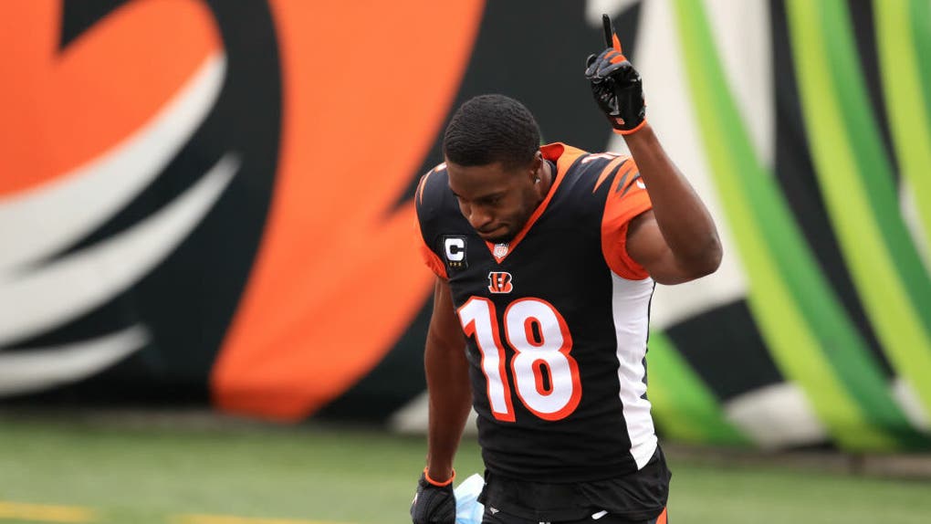 NFL: JAN 03 Ravens at Bengals