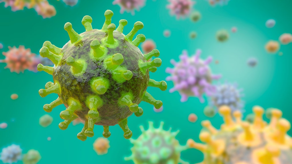 3D rendering of viruses