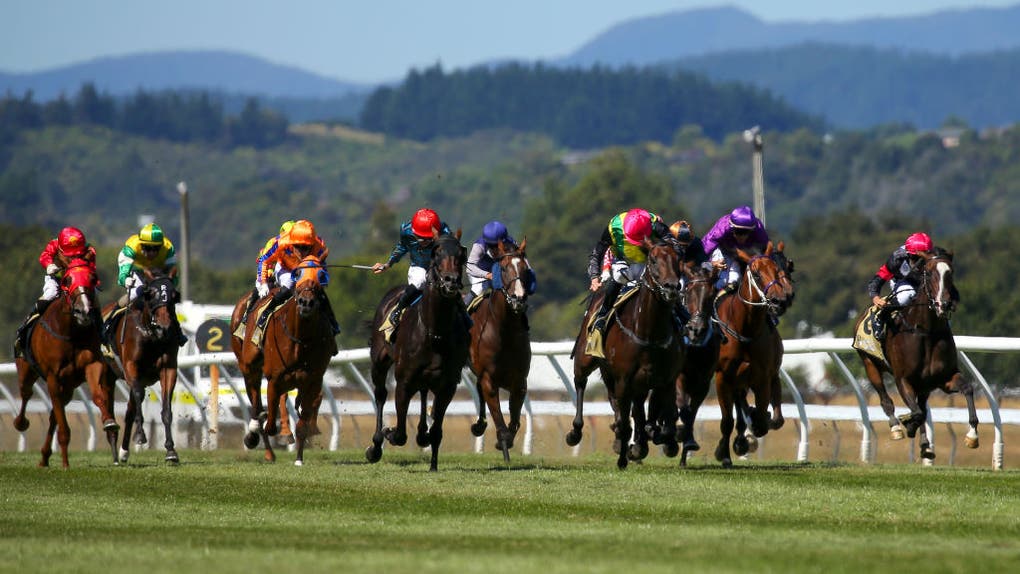 Popular Jockey Taiki Yanagida Dies After Horrific Racing Accident