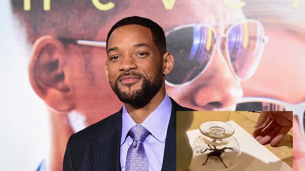 Will Smith and Tarantula