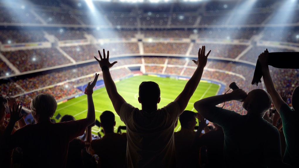 Soccer fans