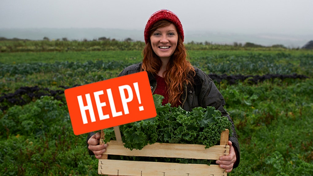 9221b147-Portrait of woman holding box of kale on farm.