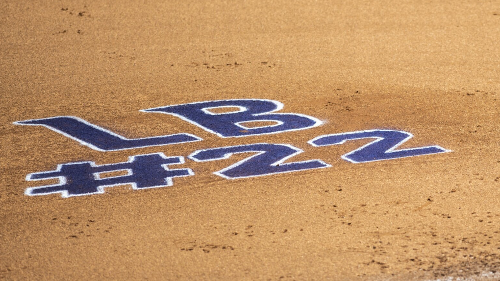 JMU softball cancels remaining games