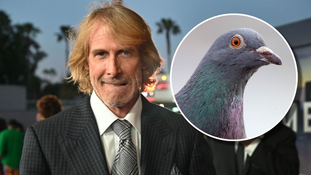 6b10584f-Michael-bay-Pigeon