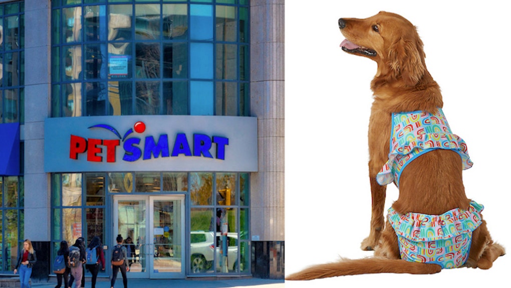 PetSmart LGBTQ Dog Bikini - newest
