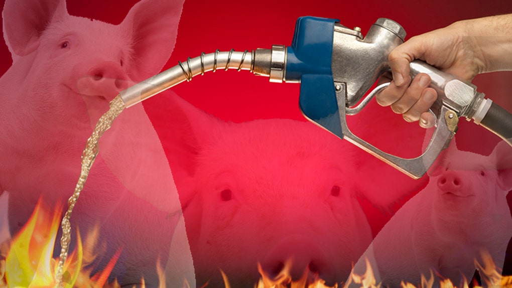 87fe68f9-Feeding the Flame; Putting Gasoline on Fire