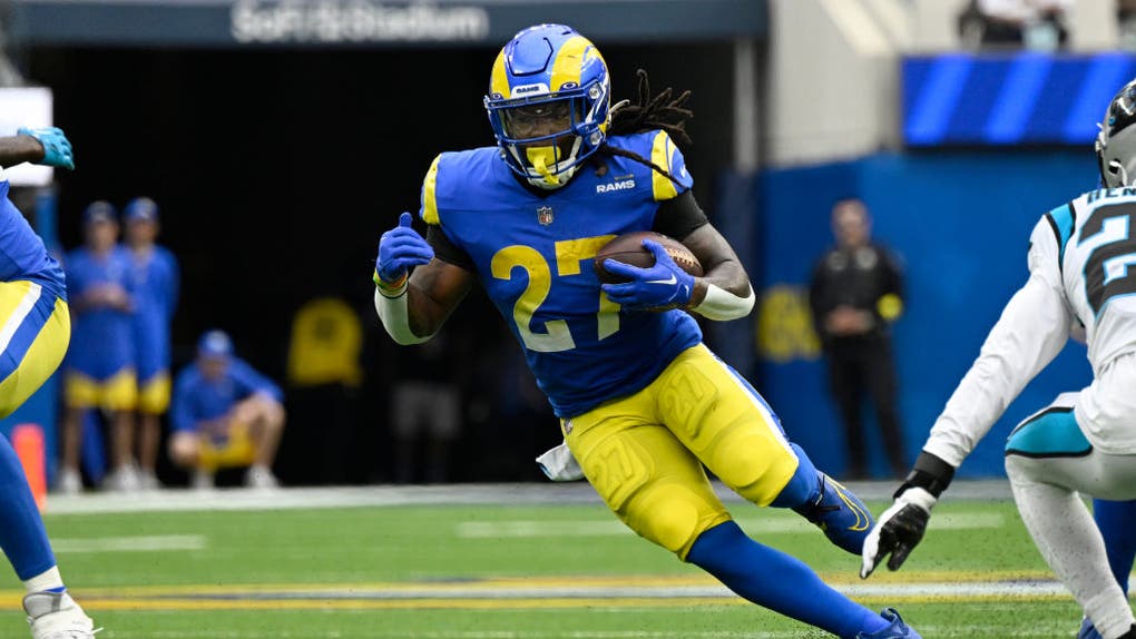 Carolina Panthers v Los Angeles Rams