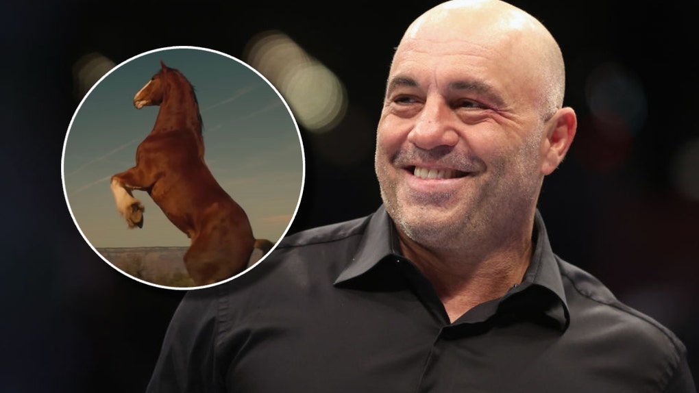 Joe Rogan and Budweiser Clydesdale