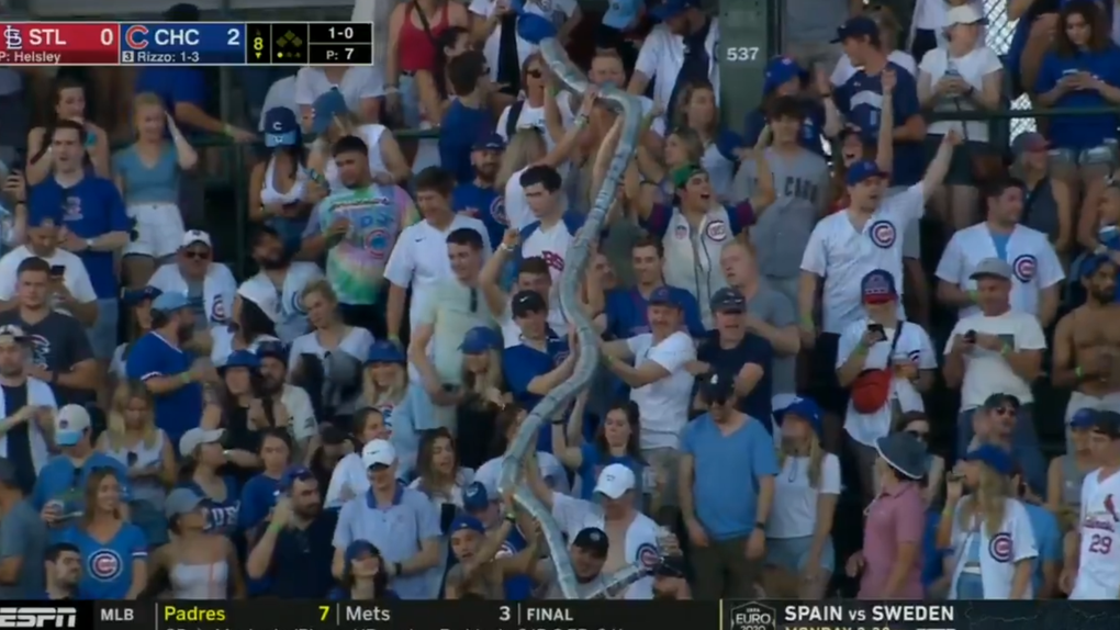 db4213c1-Screenshot 2021-06-14 062540