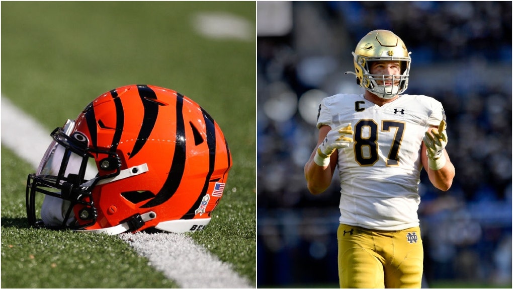 7f183017-bengals-mayer regual