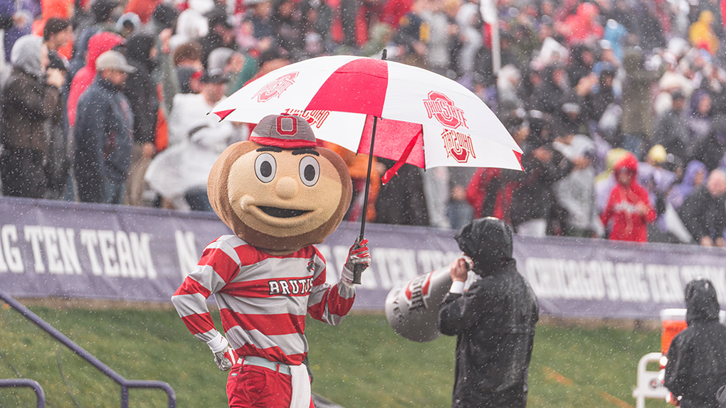 brutus-buckeye