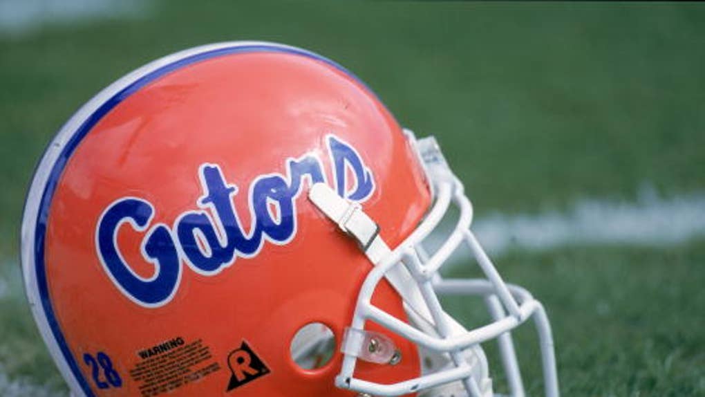 gators