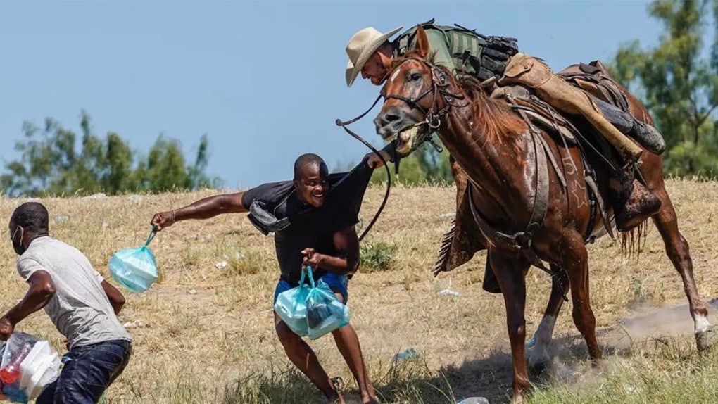 horse
