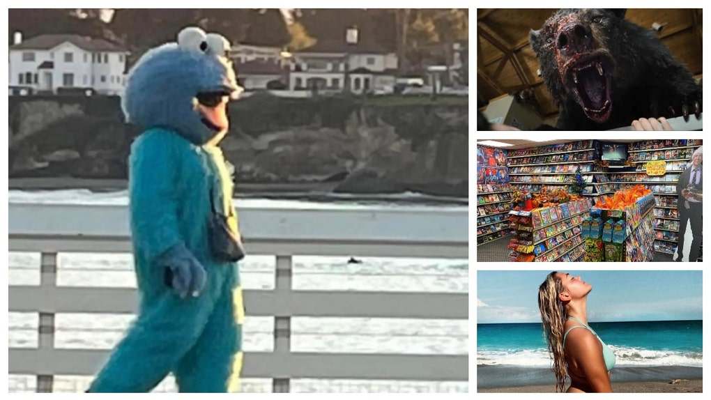 Adam Sandler cookie monster, Cocaine Bear reviews, Olivia Dunne sister.