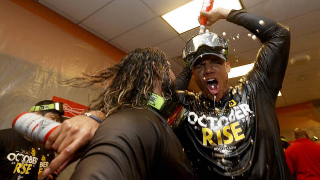 65189059-playoff MLB