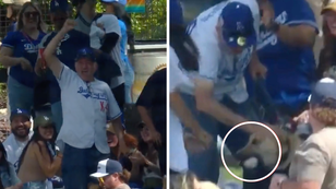 WATCH: Dog Catches Home Run Ball At Dodgers Spring Training Game