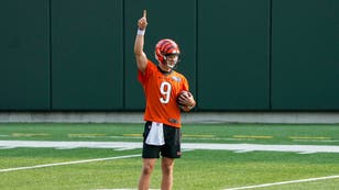 2023 AFC North Division Preview: Cincinnati Bengals Remain The Class Of The Division