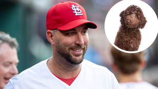 Cardinals Surprise Adam Wainwright With A Puppy As Retirement Gift