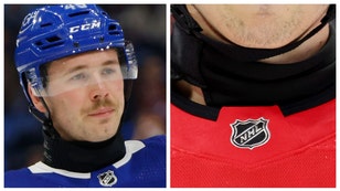 nhl ice hockey neck guards