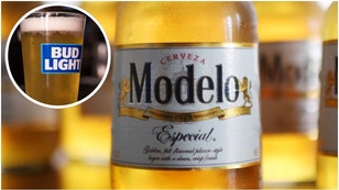 Modelo's business is exploding in 2023 following Bud Light's collapse. Will Bud Light ever take the top spot back. What is the sales data? (Credit: Getty Images)