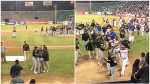 Venezuelan Winter League Baseball Brawl