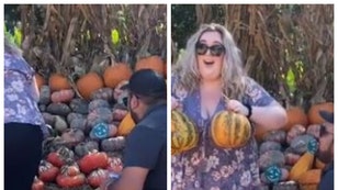 Pumpkin Boobs Marriage Proposal