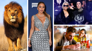 Larsa Pippen Is Getting Jealous, Travis Barker Plays Drums For Baby, Escaped Lion Terrorizes Italy & Readers Reveal Worst First Dates
