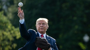 trump baseball