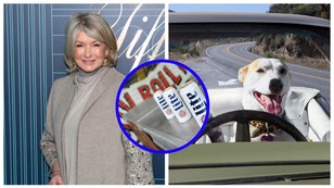 Martha Stewart Poses In Bikini, Conor McGregor Posts Thirst Traps, Dog Almost Gets A DUI, Shark Attacks & Beer Ads