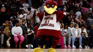 South Carolina mascot 'Cocky'