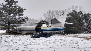 Plane Transporting Rescue Dogs Crash Lands On Wisconsin Golf Course