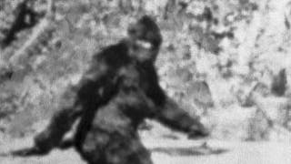 Is Bigfoot real? (Credit: Getty Images)