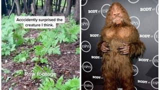 Bigfoot (Credit: Screenshot/TikTok Vidoe https://www.tiktok.com/@fowl_mitten_outdoors/video/7119935114150169902 and Getty Images)