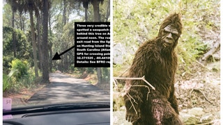 Man claims to have seen a Bigfoot near his vehicle in South Carolina in Hunting Island State Park. (Credit: Screenshot/YouTube https://www.youtube.com/watch?v=fLFoZd5e9v4 and Getty Images)