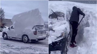 Bills digging out cars