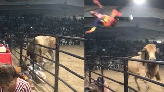 Bull launches rodeo clown into stands video