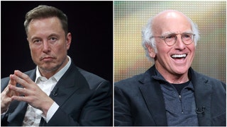 Larry David thought it was appropriate to ask Elon Musk if liked dead kids during a wedding. He confronted him about dead kids in schools. (Credit: Getty Images)