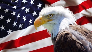 Close-Up Of Bald Eagle Against American Flag