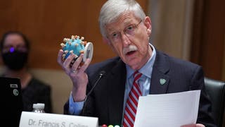 47a9992b-Senate Hearing Considers NIH Budget And State Of Medical Research