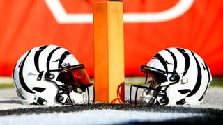 Grandview Texas High School Football Helmets Zebras Bengals White Helmet