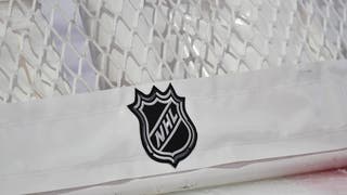 NHL Shield on Back of Net