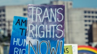 3acf1f5e-Trans Rights